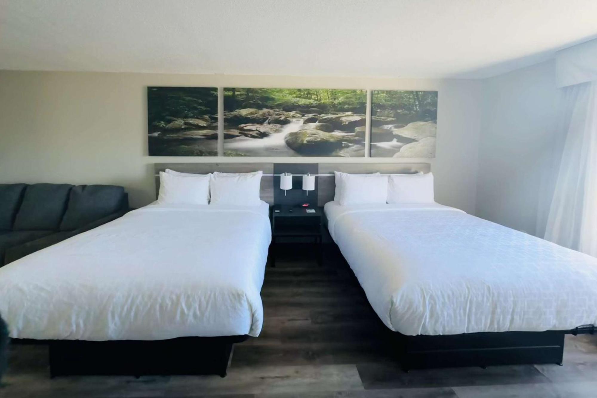 Clarion Pointe Albemarle Otel Dış mekan fotoğraf